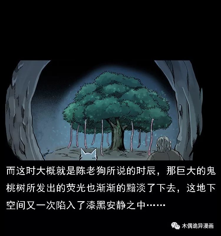 【鬼桃樹】 靈異 第61張