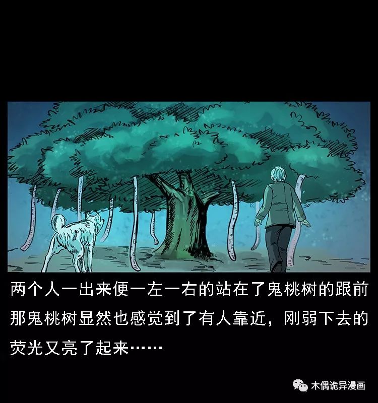 【鬼桃樹】 靈異 第65張