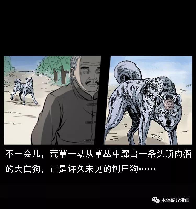 【鬼桃樹】 靈異 第11張