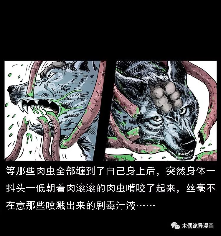 【鬼桃樹】 靈異 第72張