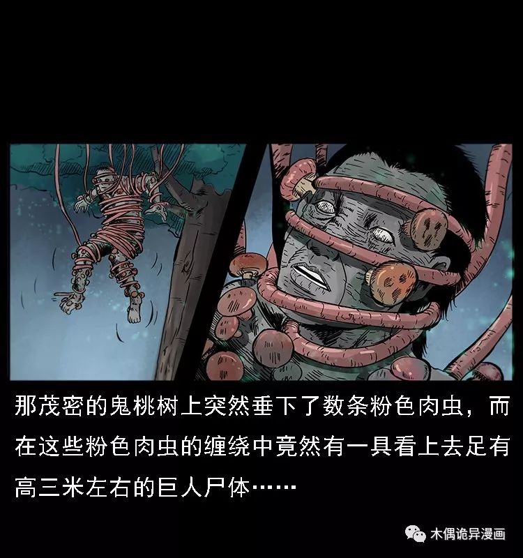 【鬼桃樹】 靈異 第38張