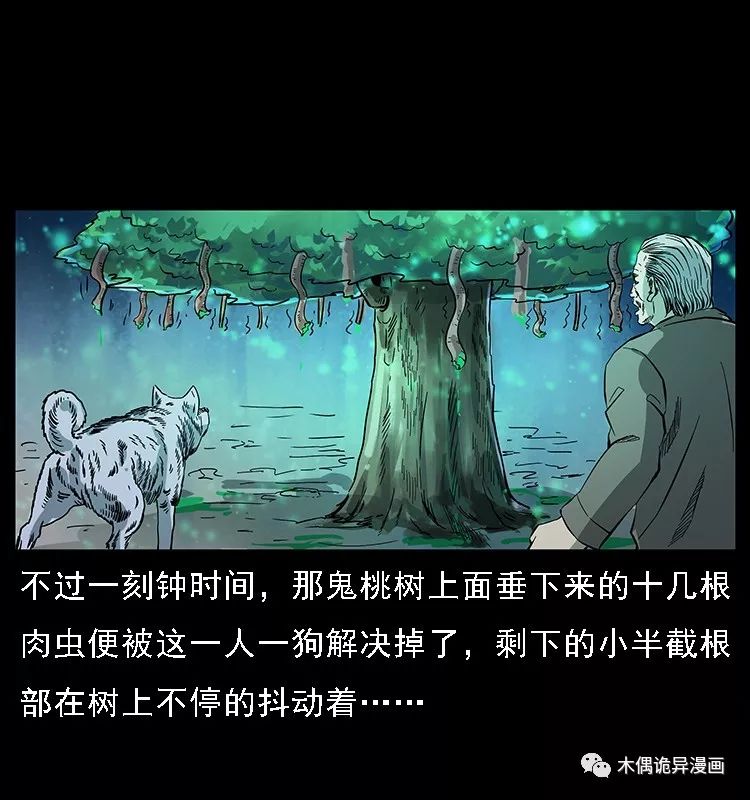 【鬼桃樹】 靈異 第74張