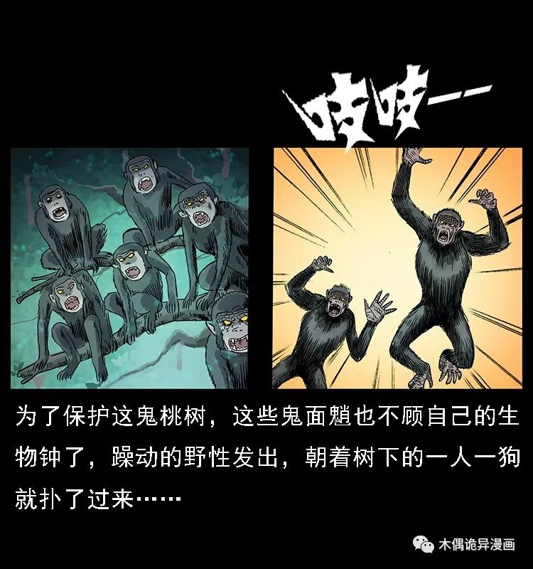 【鬼桃樹】 靈異 第77張