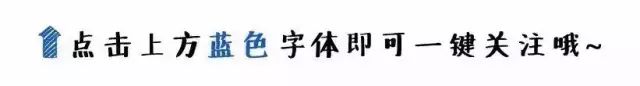 那頭號稱會飛的豬，終於還是被市場資金們集體拋棄了！ 新聞 第1張