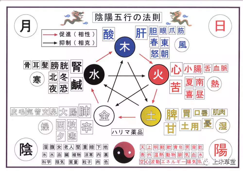 你知道吗 为什么有些人游泳容易出事 至易健康 微信公众号文章阅读 Wemp