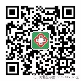 高频治疗仪治什么病离子束疼痛治疗仪（电火花疗法）_https://www.jmylbn.com_新闻资讯_第7张