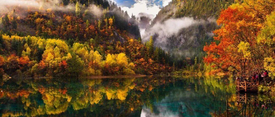 来了！中国赏秋地图