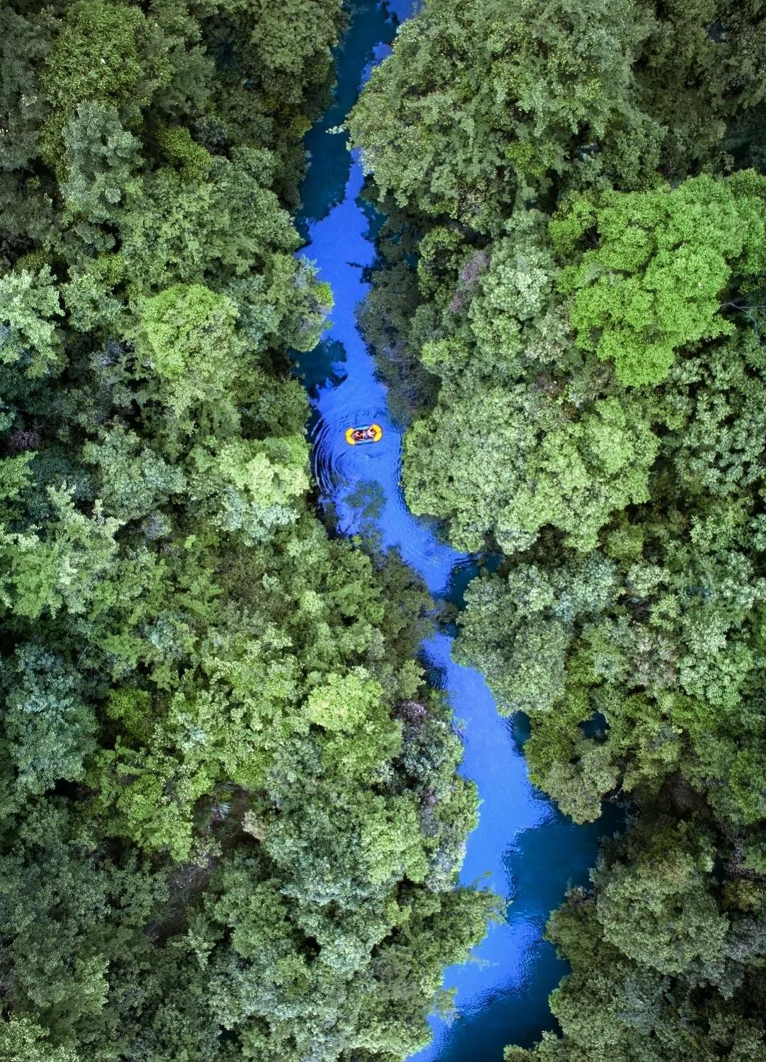 中國南方喀斯特，有多美？ 旅遊 第41張