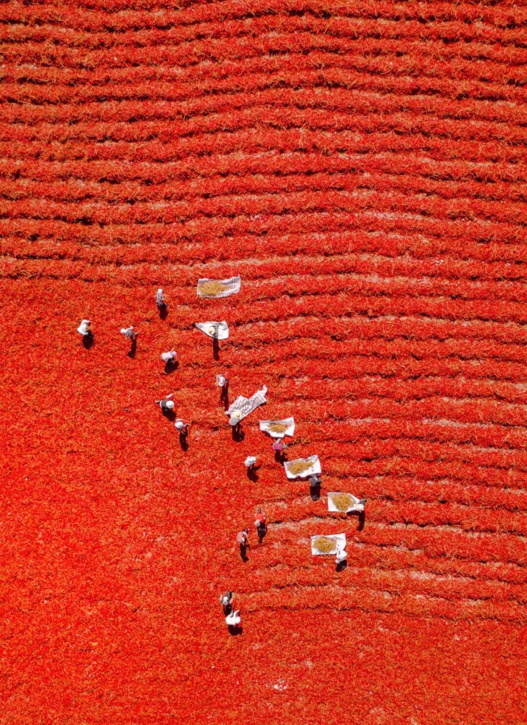 母亲，我为您骄傲！