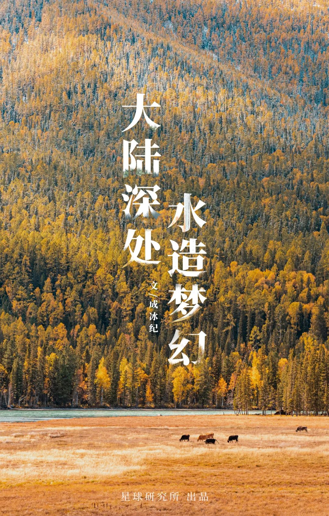 一拍就是壁紙！這個秋天，去北疆吧！ 旅遊 第4張