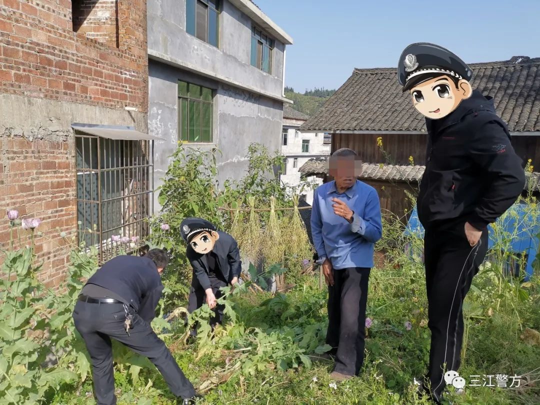 DƬ