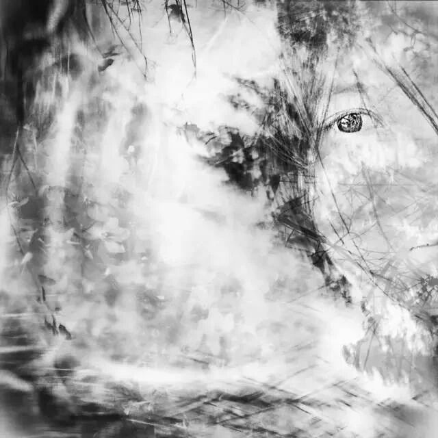 文摘｜一辈子很短，有你陪着真好