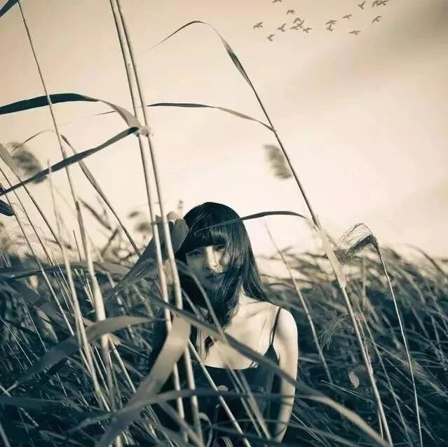 名家｜何其芳：秋天