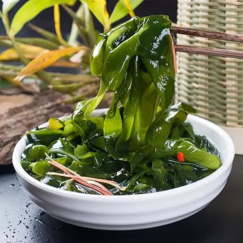 霞浦海带苗|海中鲜味，集营养之精华
