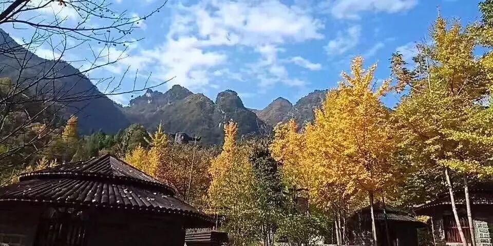 湖北神龙架天气预告_神龙架天气_神龙架天气15天查询