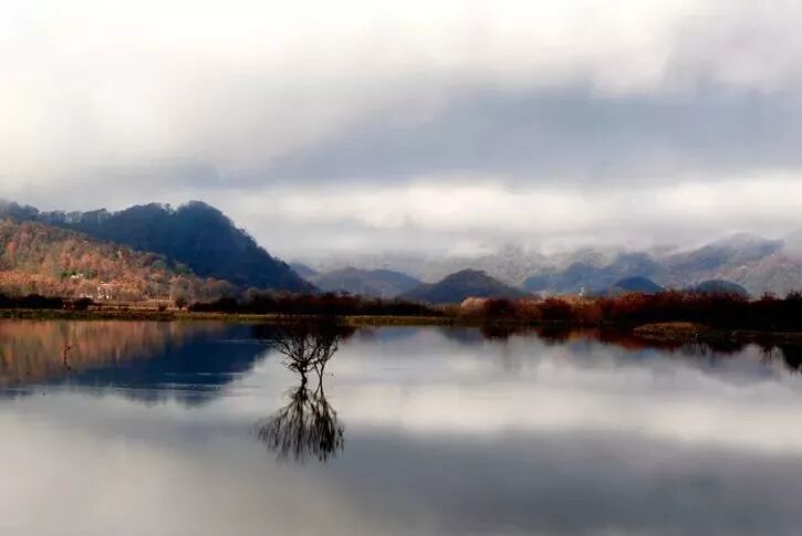 湖北神龙架天气预告_神龙架天气_神龙架天气15天查询