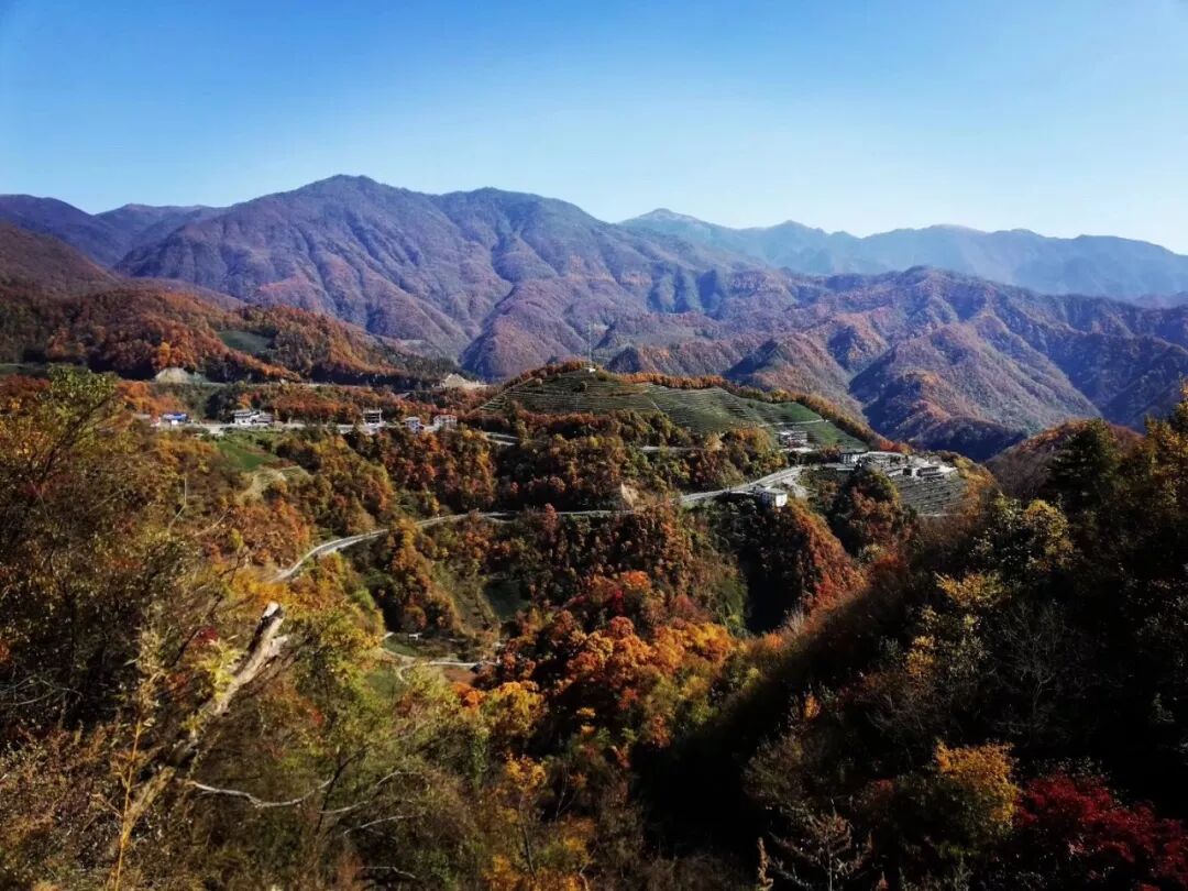 神龙架天气15天查询_神龙架天气_湖北神龙架天气预告