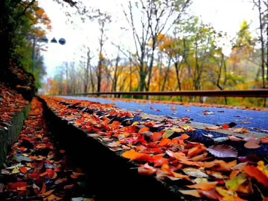 湖北神龙架天气预告_神龙架天气_神龙架天气15天查询