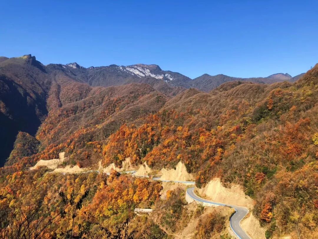 神龙架天气_神龙架天气15天查询_湖北神龙架天气预告