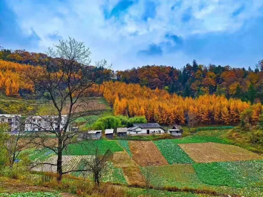 神龙架天气_湖北神龙架天气预告_神龙架天气15天查询