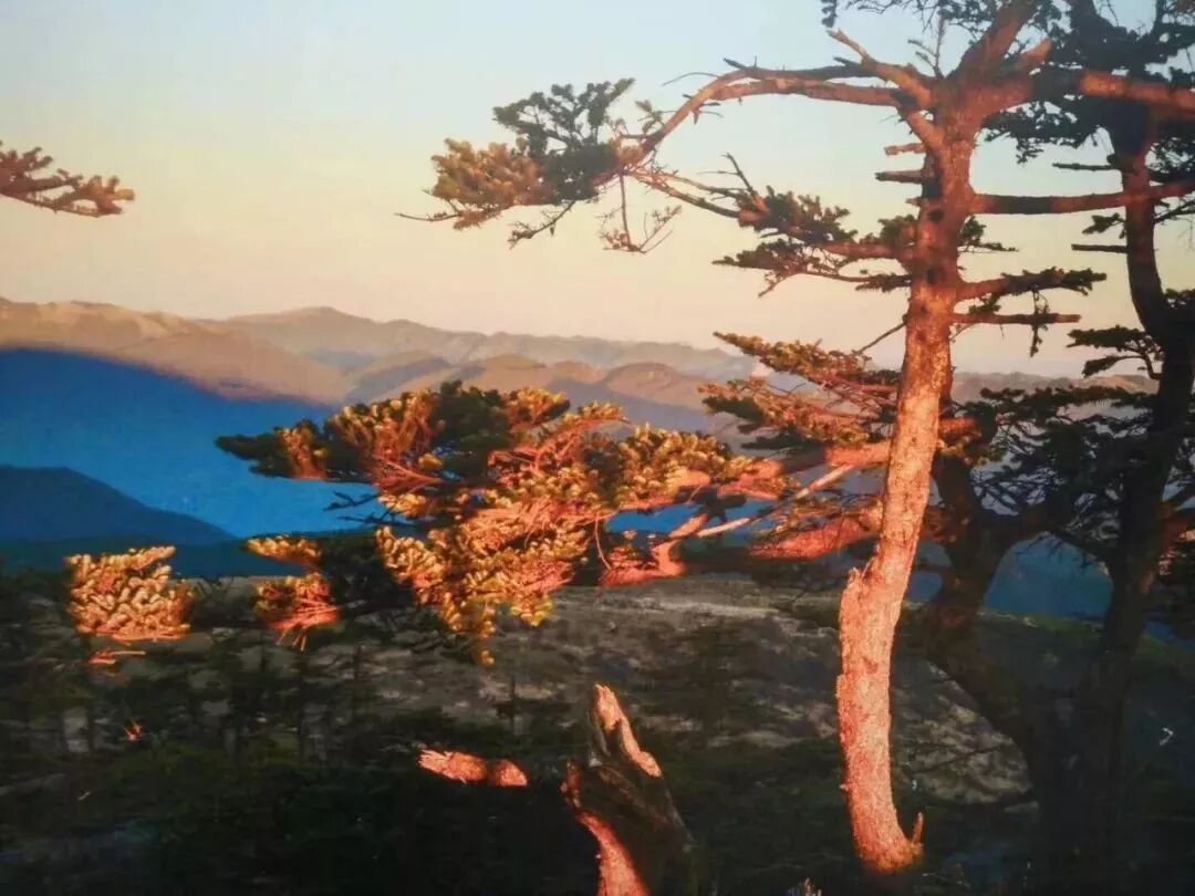 神龙架天气15天查询_神龙架天气_湖北神龙架天气预告