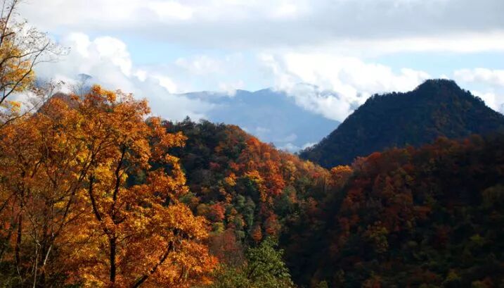 神龙架天气_湖北神龙架天气预告_神龙架天气15天查询