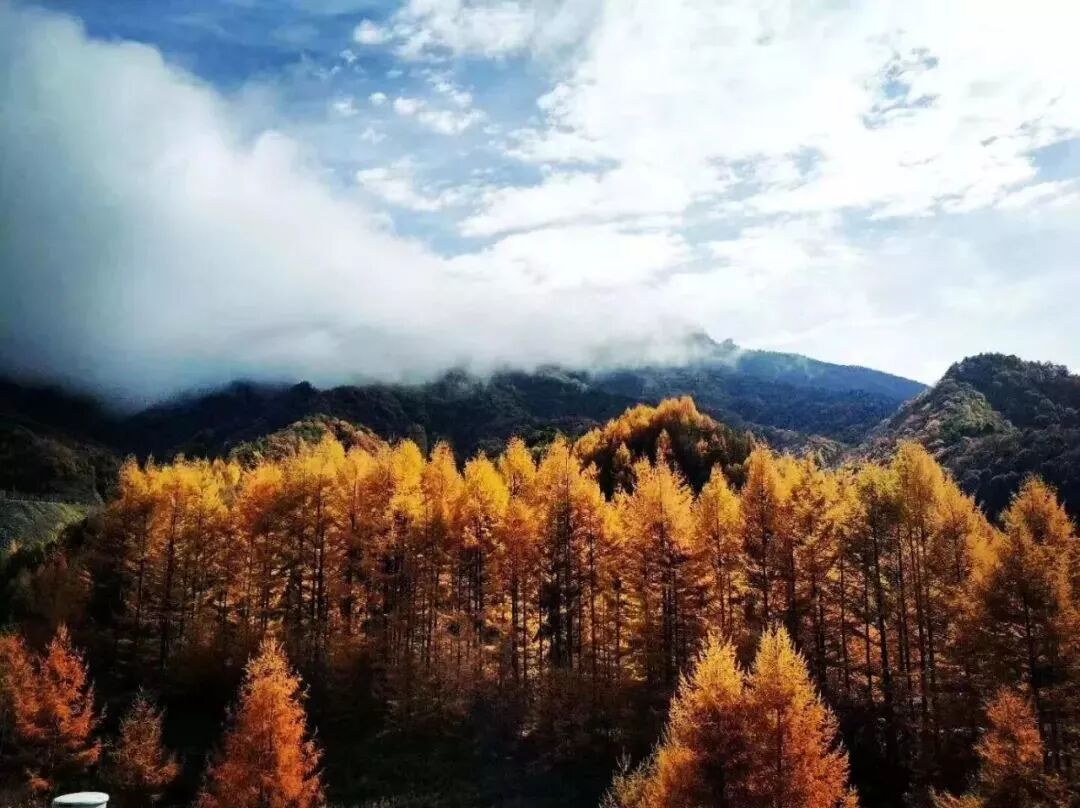 神龙架天气15天查询_神龙架天气_湖北神龙架天气预告