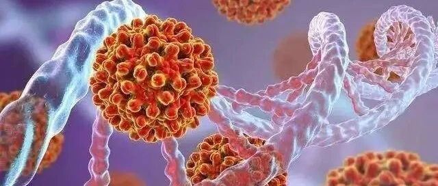 22岁女孩切掉半个肝！只因长期熬夜吃烧烤？真相是→