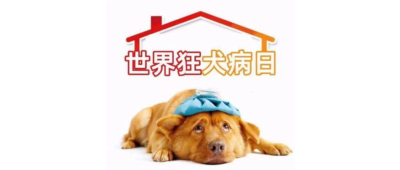 狂犬病日来了！英国没有狂犬病疫苗？？这些知识你要了解