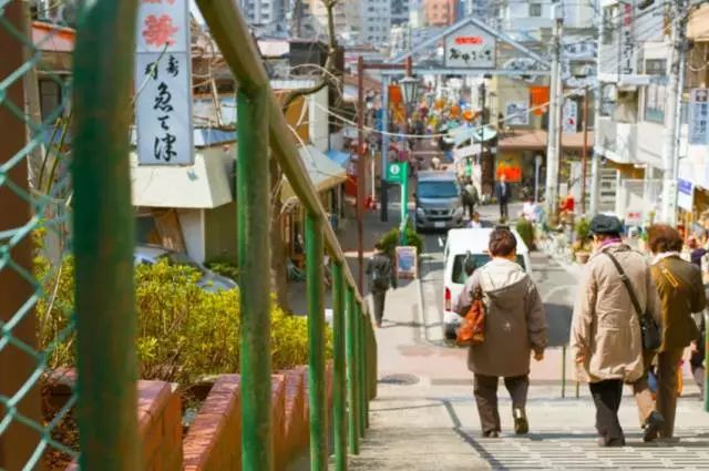 老東京的探險 貓咪 老街 谷根千 上海譯文 微文庫