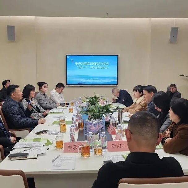 重庆民营经济国际合作商会
