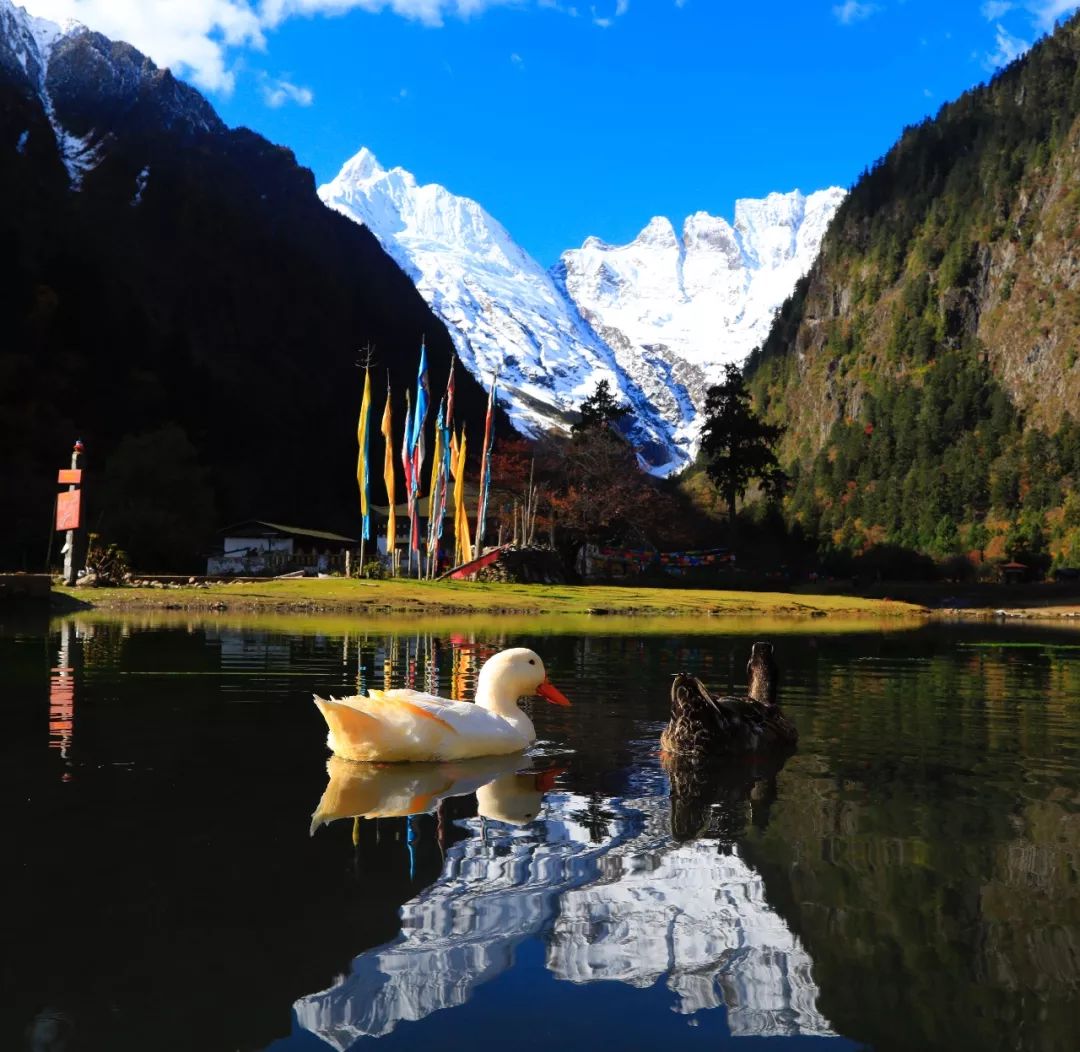 雨崩徒步+哈巴登山，這個國慶節可以既充實又刺激！ 旅遊 第35張