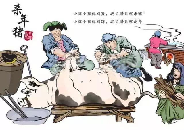 "家"字下面就是一只猪,有猪才能为家.