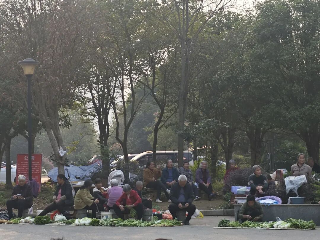 老人在小区广场上摆摊卖菜。南方周末记者郑丹摄