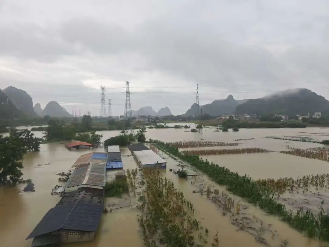 贵港与横州之间多地被淹。（南方周末记者 郑丹/摄）