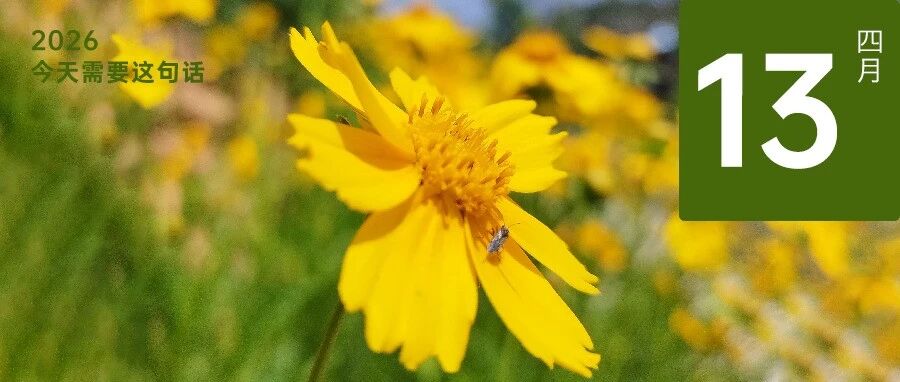 王一博追的人,是什么样的存在?