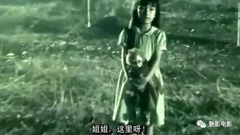 港式恐怖片推荐_电影恐怖鬼片林正英_香港电影发展历程