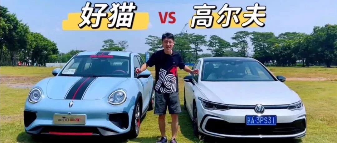 给你10万块，好猫和高尔夫你选谁？