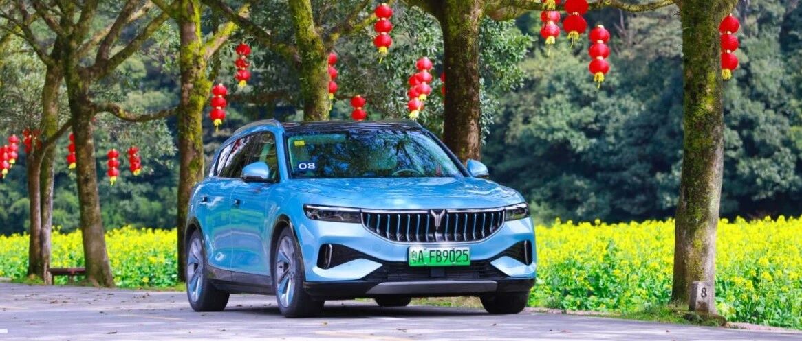 除了空气悬架 岚图FREE还有一百种办法能让你秀出优越感