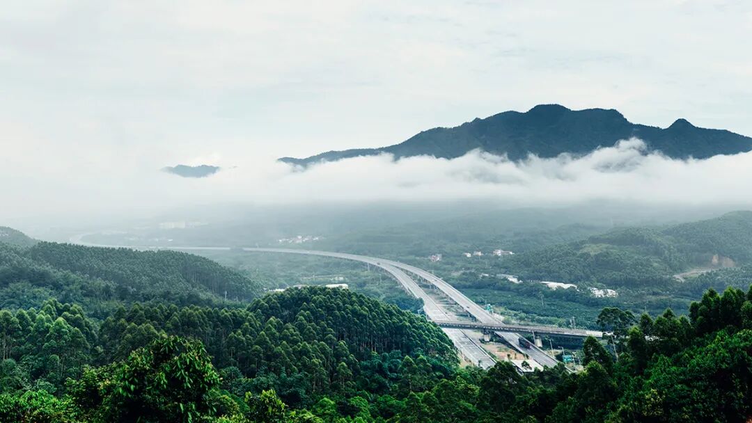 广佛肇高速全线通车,大旺东高速出入口正式启用!