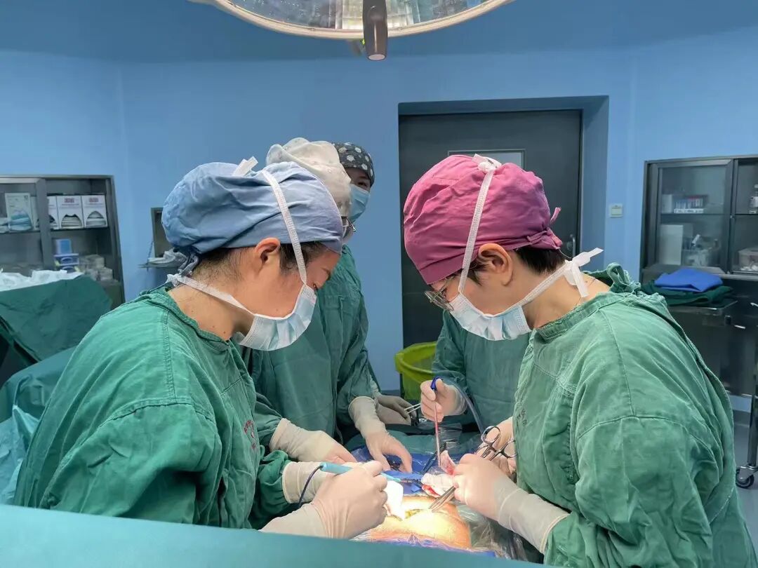 医院床位灯怎么关夜诊+1！市中医院妇科为女性健康“留灯”_https://www.jmylbn.com_新闻资讯_第8张