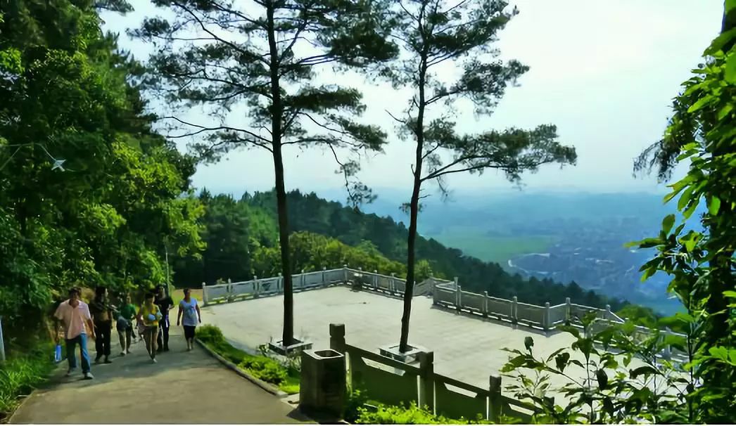 圖源:肇慶林業四會貞山森林公園四會貞山森林公園地處四會市西南部