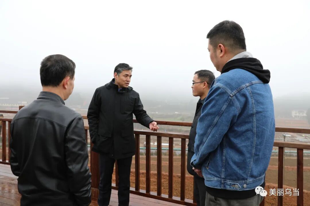 乌当区区长李成到羊昌镇调研现代农业产业示范带建设工作