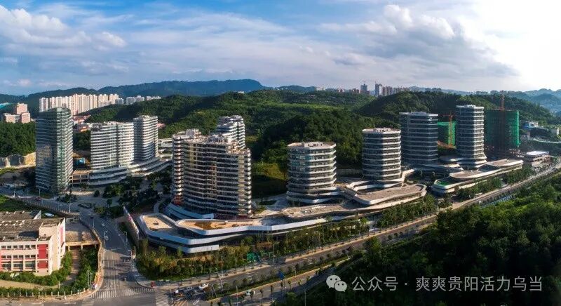 乌当区一主一特强双生态圈