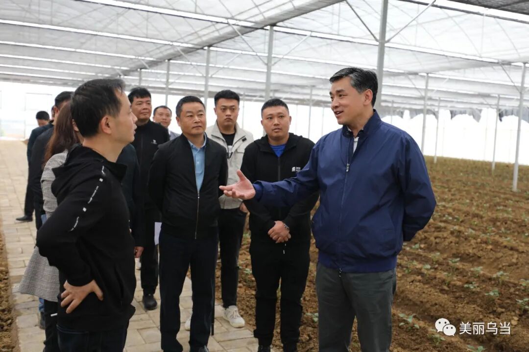 乌当区长李成调研土地碎片化治理工作