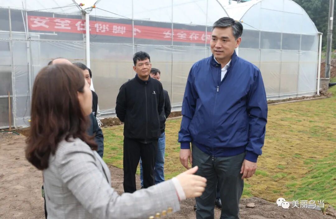 乌当区长李成调研土地碎片化治理工作