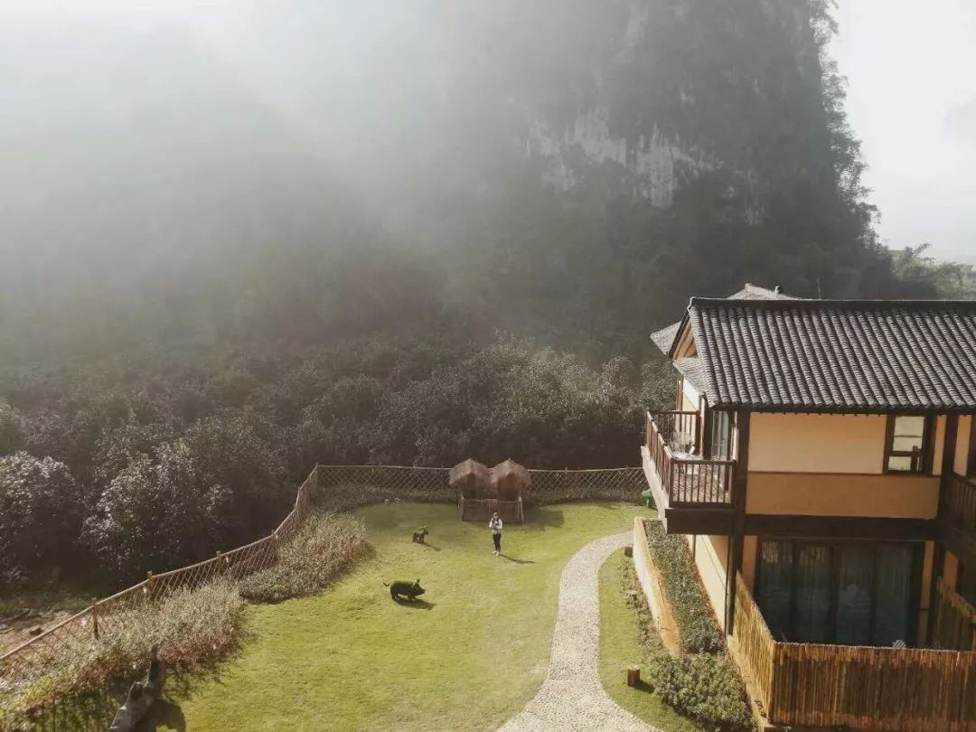 人少景美，寒假親子遊走起！一家老小睡星空房吃臘味年飯，農耕樂園大草坪好熱鬧 旅遊 第18張