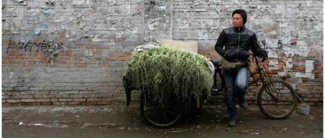 “我太累了，不想学了”，请把这15幅图送给孩子, 比任何说教都管用！