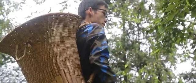 定了！2020年秋季开学时间公布：当你累了不想学, 请想想这3个人（转给孩子）