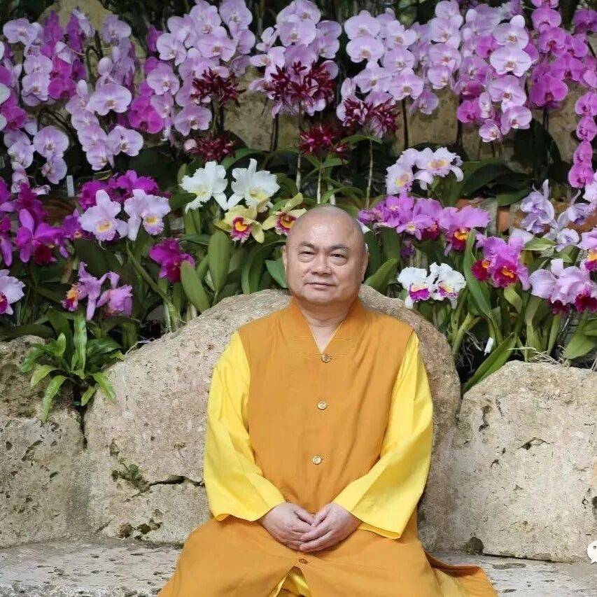 【慧律法师心语法雨】参访请法开示(连载)